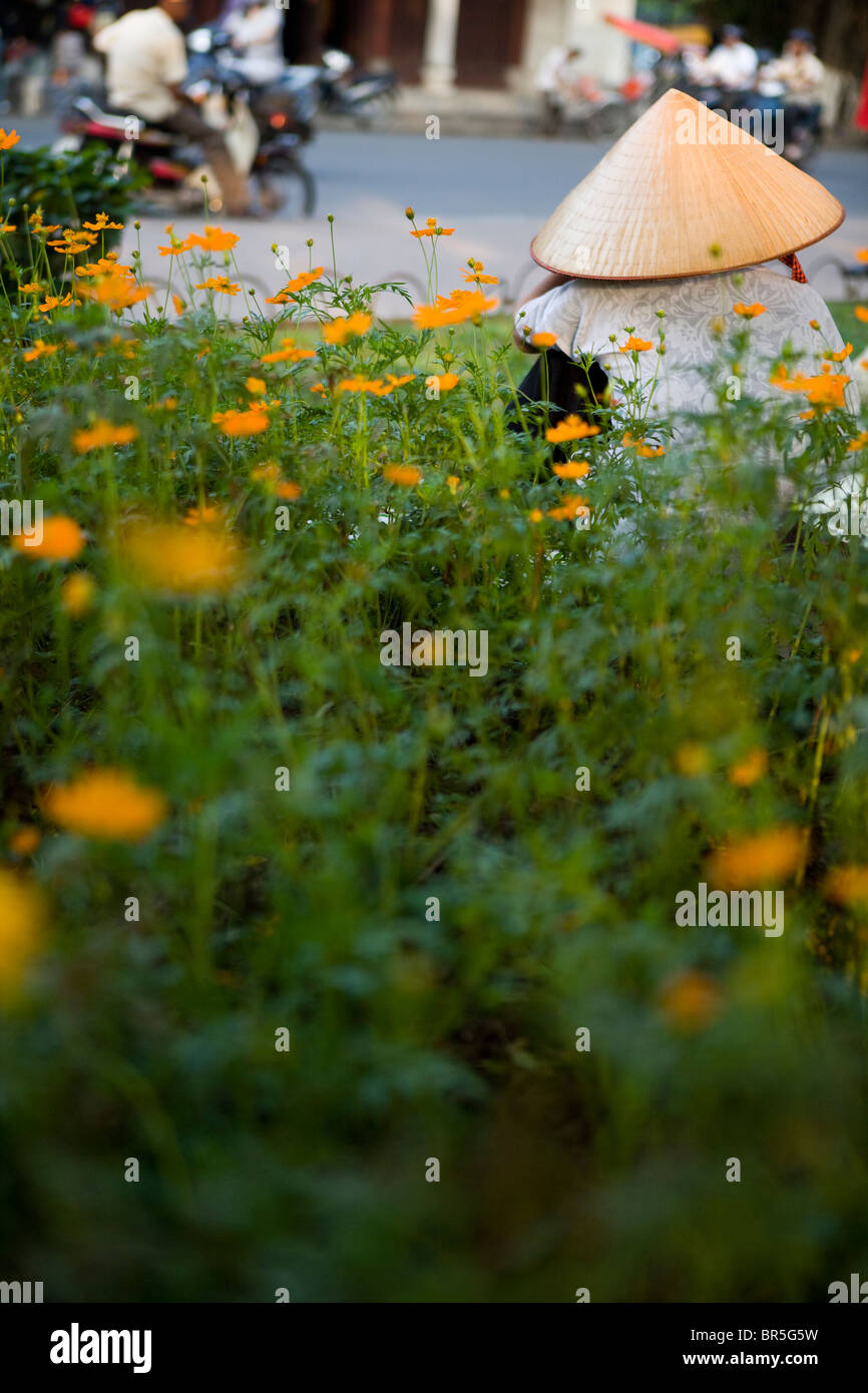 Woman with conical hat sitting amongst flowers in busy Hanoi street, Vietnam Stock Photo
