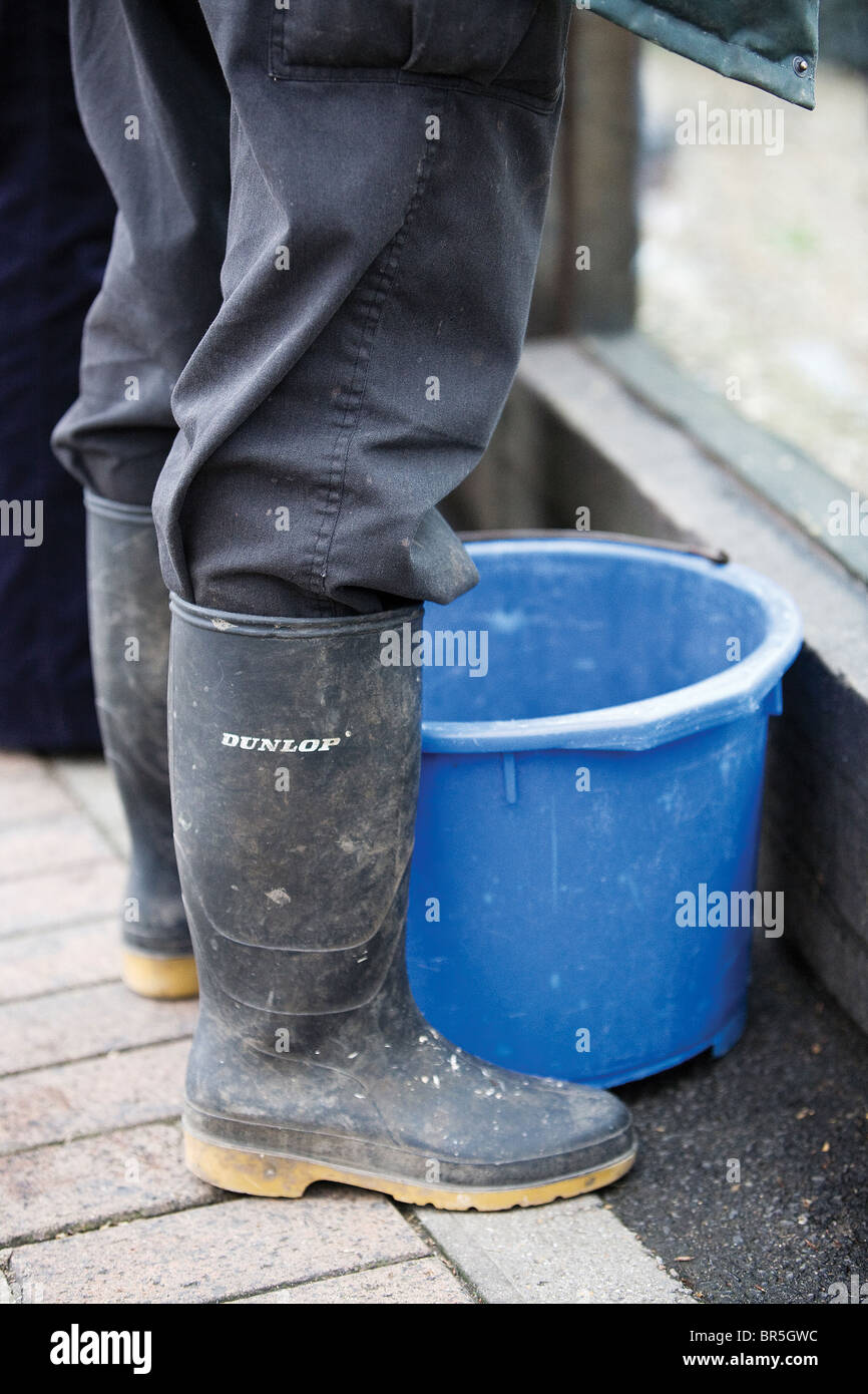 Next rain boots sale