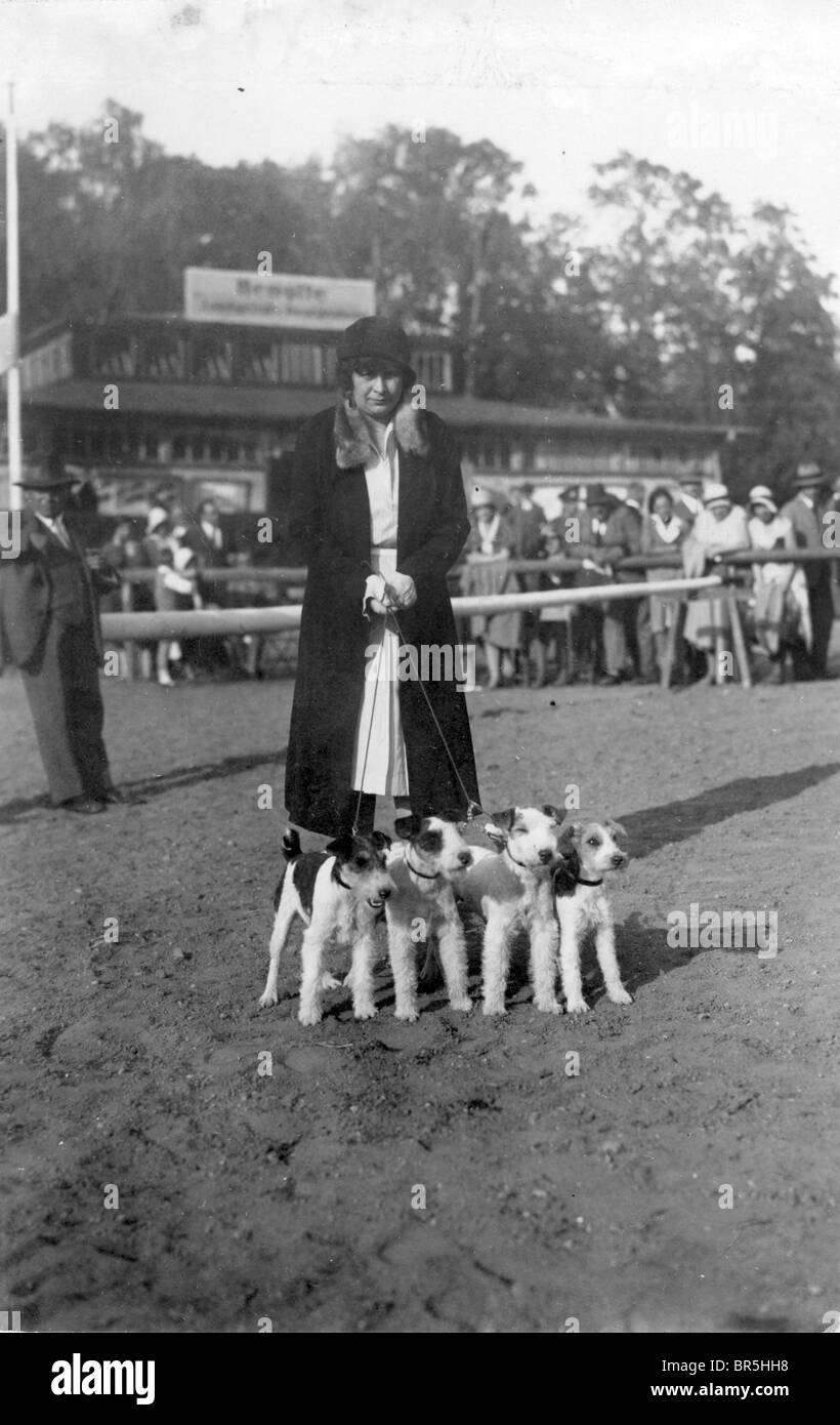 Historic photograph, woman posing with four dogs Stock Photo
