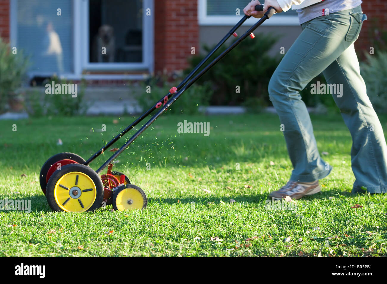 Woman cutting grass with an environmentally friendly lawn mower. Stock Photo