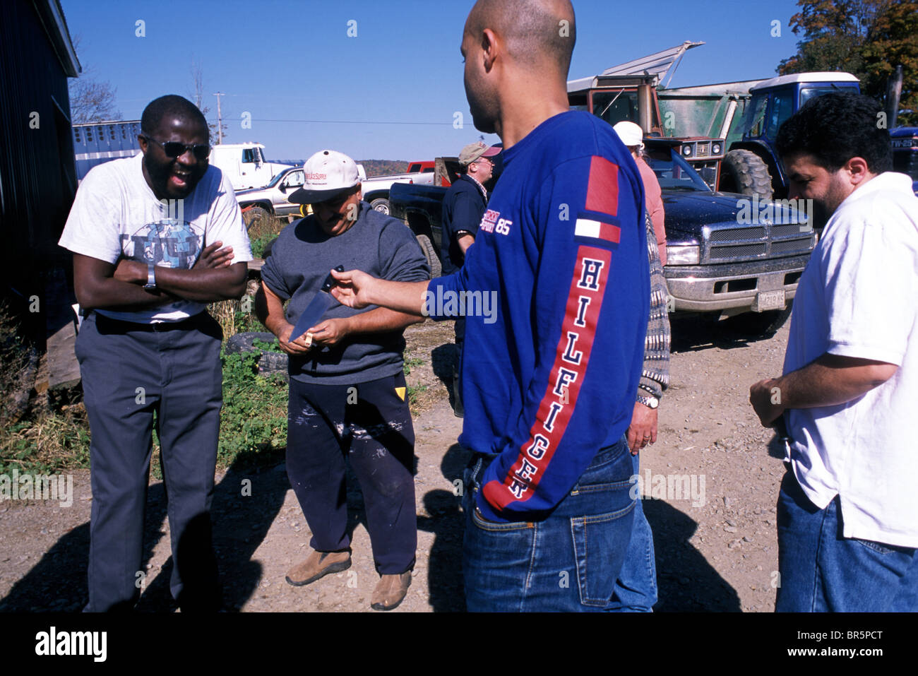 Halal slaughter East Corinth Maine Stock Photo Alamy