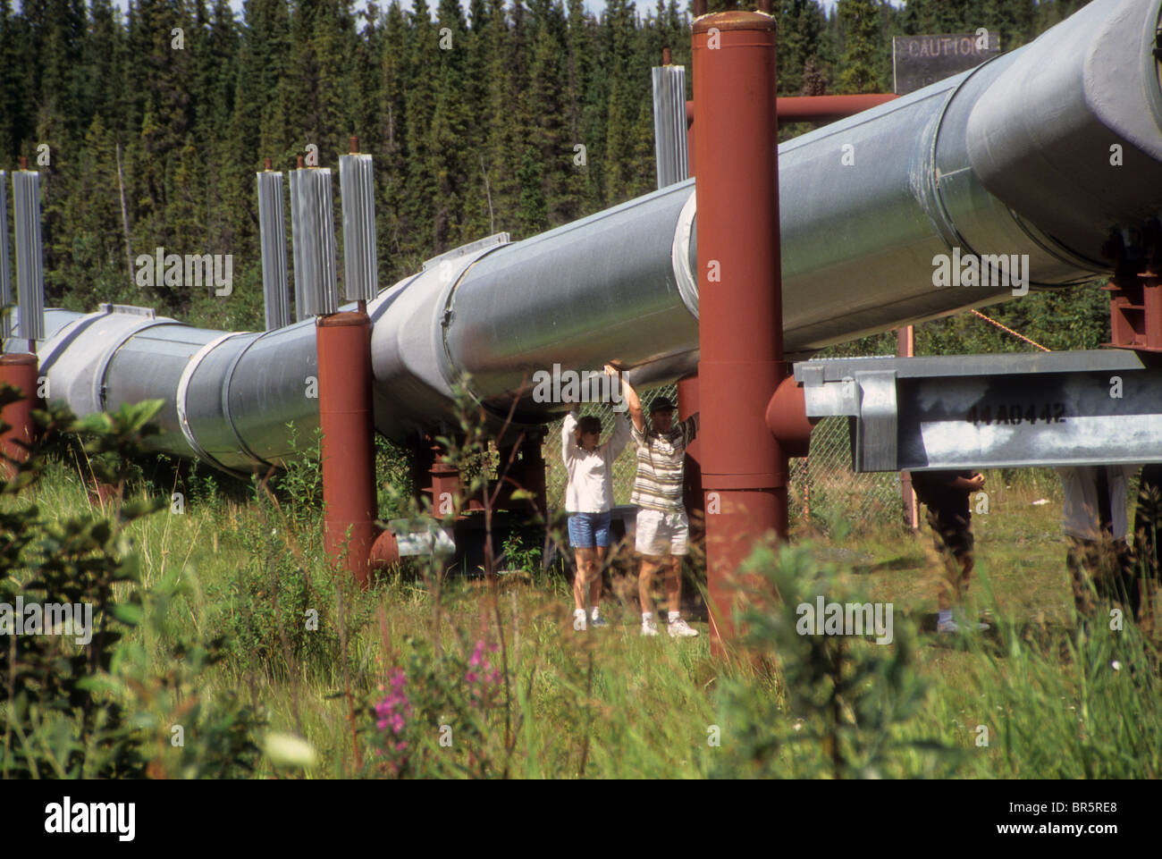 Alaska pipeline oil energy environment power fuel gas pump volume size