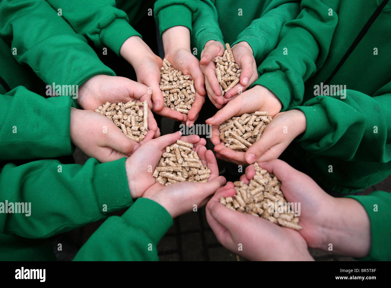 Pupils from Mornington primary school with wood pellets for their wood burning stove. Stock Photo