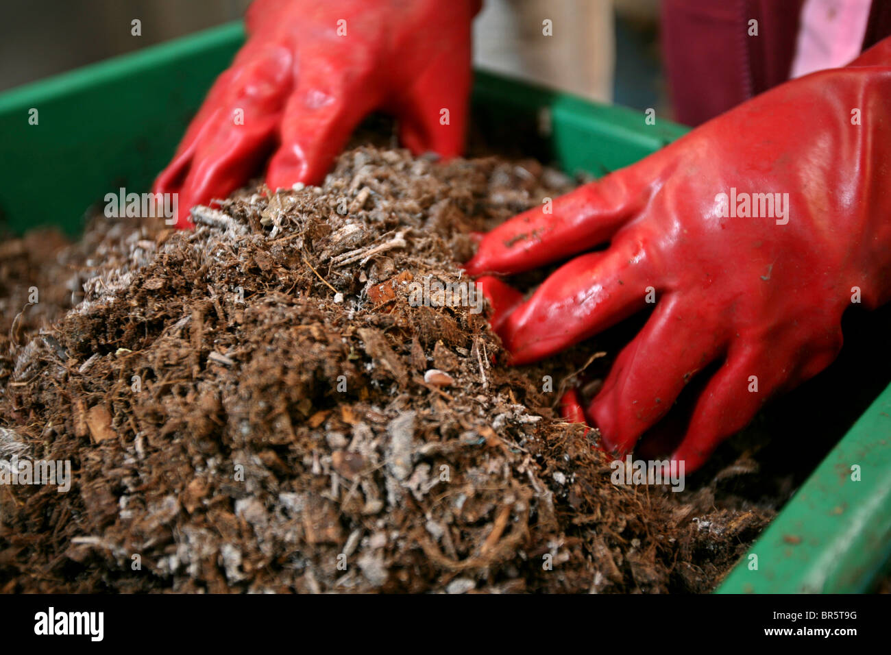 Elcrp hires stock photography and images Alamy