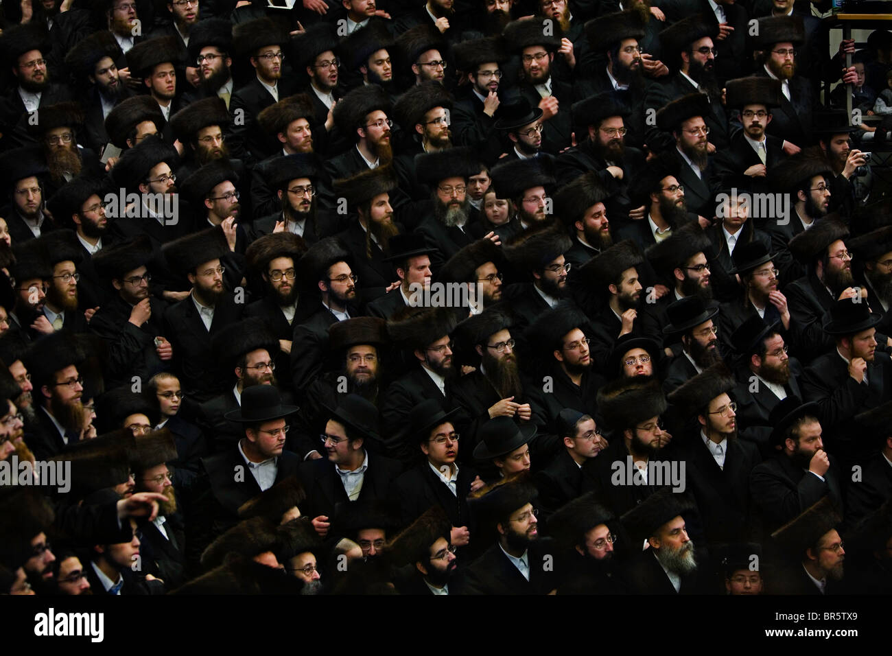 In a Stamford Hill Skwer synagogue Jewish men watch the Skwer Rebbe visiting from New York carry the new Sefer Torah. Stock Photo