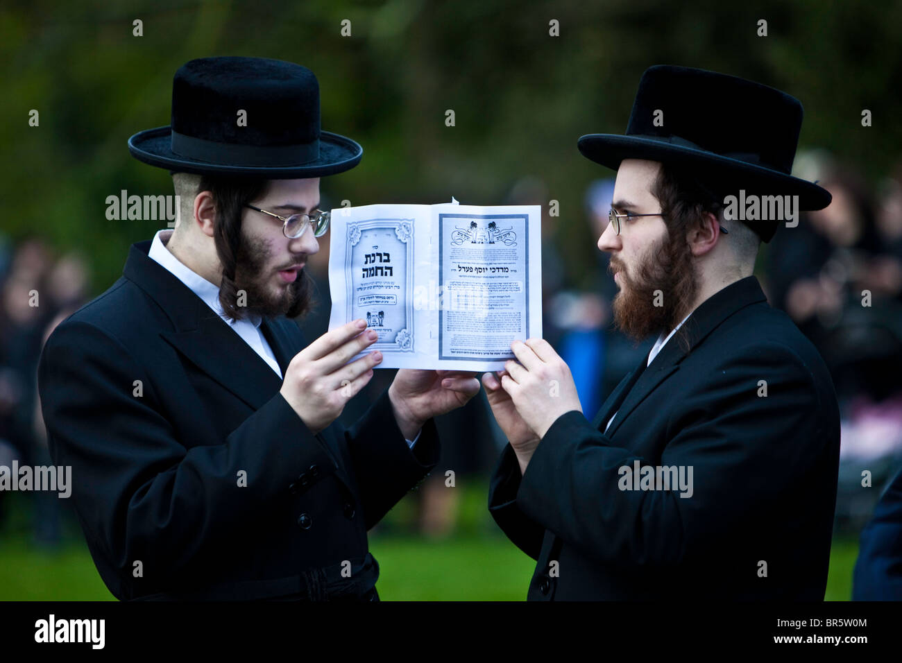 Two Orthodox Jewish men praying from the same prayer book at Stamford Hill, to celebrate the festival of Birkat Hachama. Stock Photo