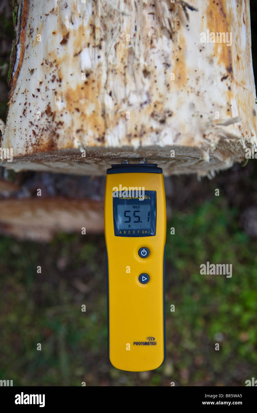 Measuring the moisture content of a log with a Protimeter Moisture Meter to see if it is ready to be chipped. Stock Photo