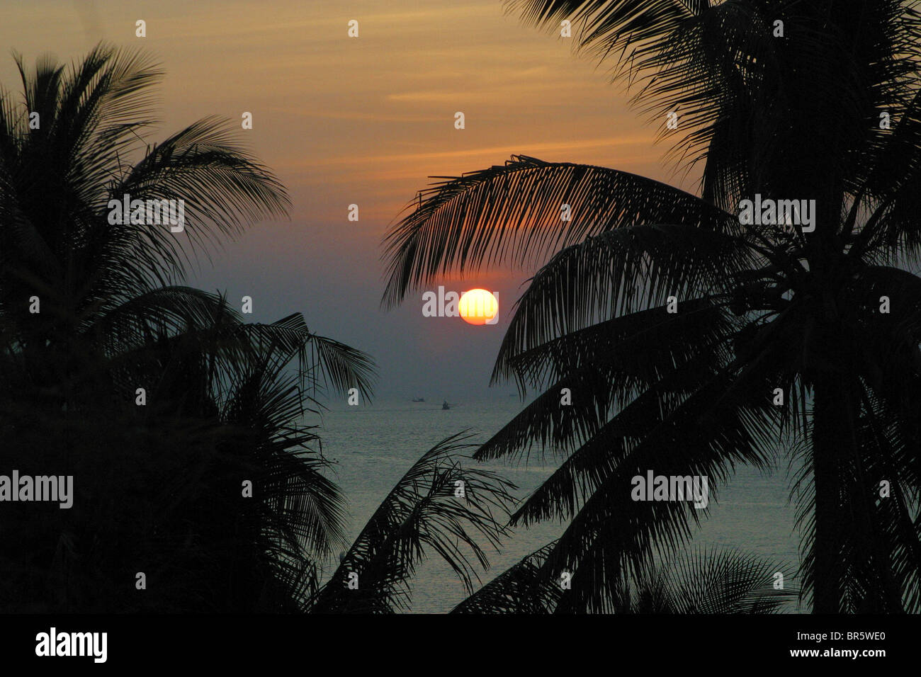 Sunset through the palm tree's on Kai Bay beach, Koh Chang, Thailand. Stock Photo