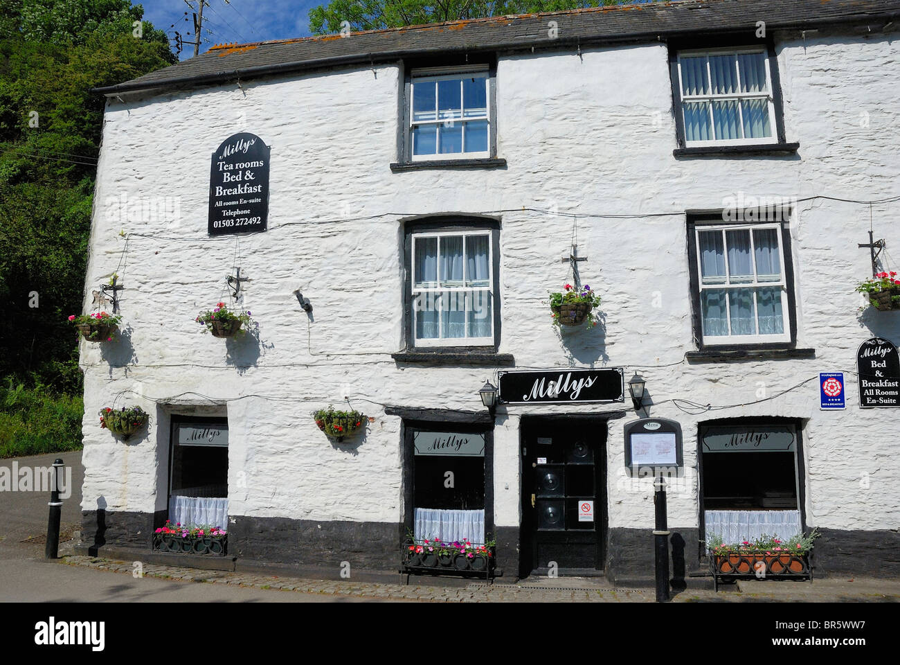millys bed and breakfast polperro cornwall england uk Stock Photo Alamy