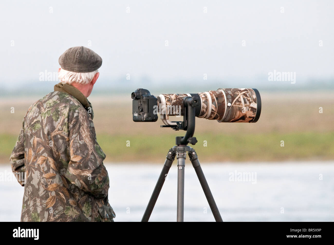 Photography and wildlife hi-res stock photography and images - Alamy