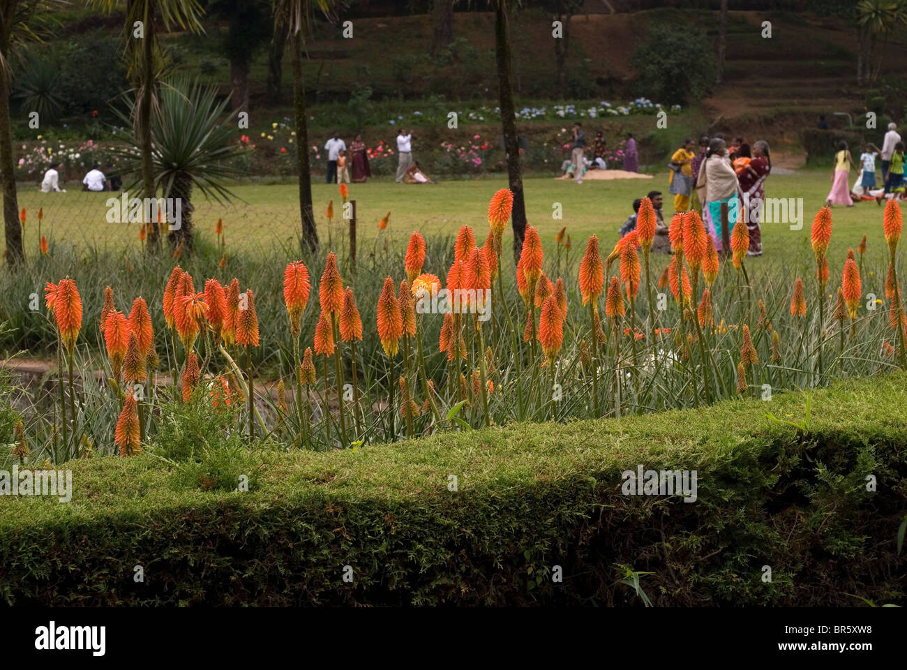 Bryant Park in Kodaikanal, Tamil Nadu. Stock Photo