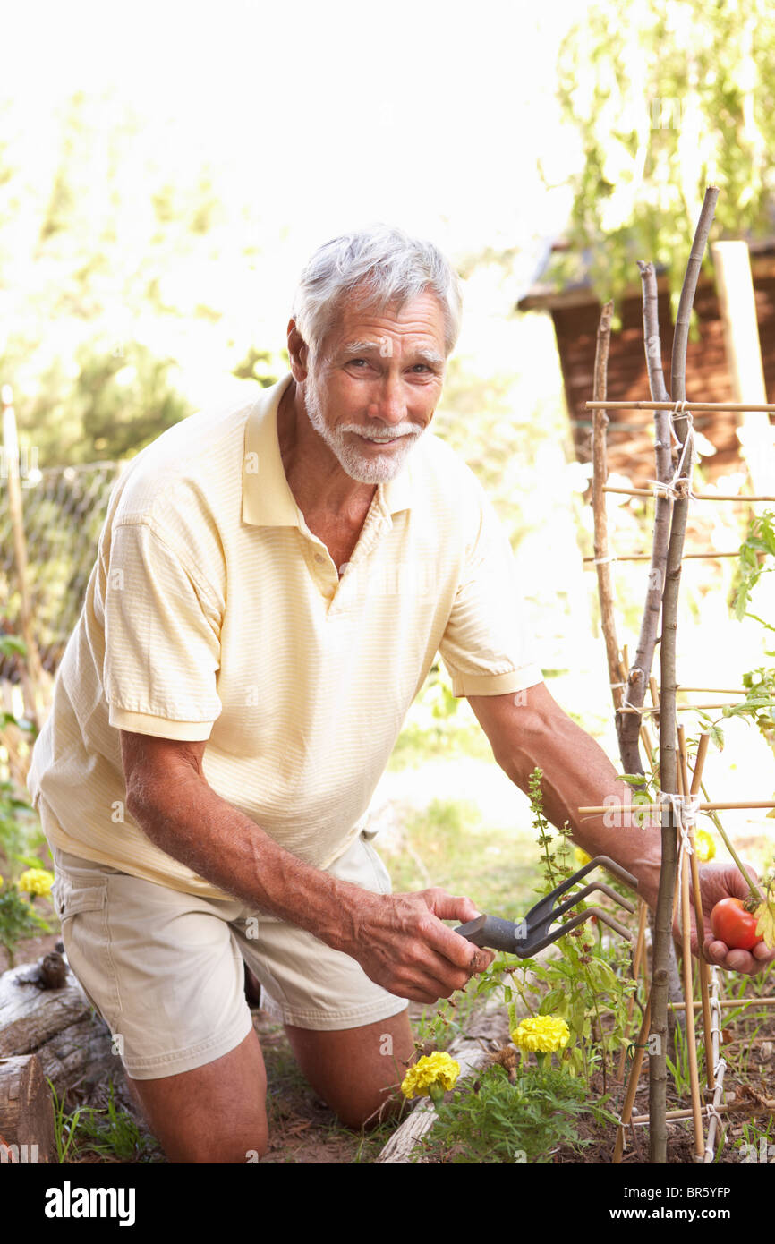 Attractive caucasian senior man hi-res stock photography and images - Alamy