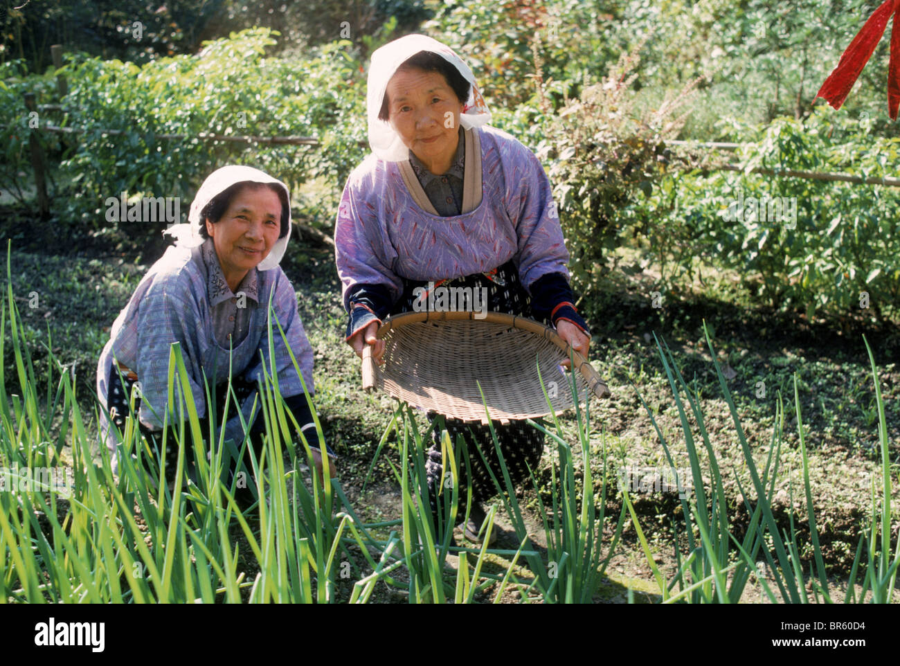 Women farming hi-res stock photography and images - Alamy