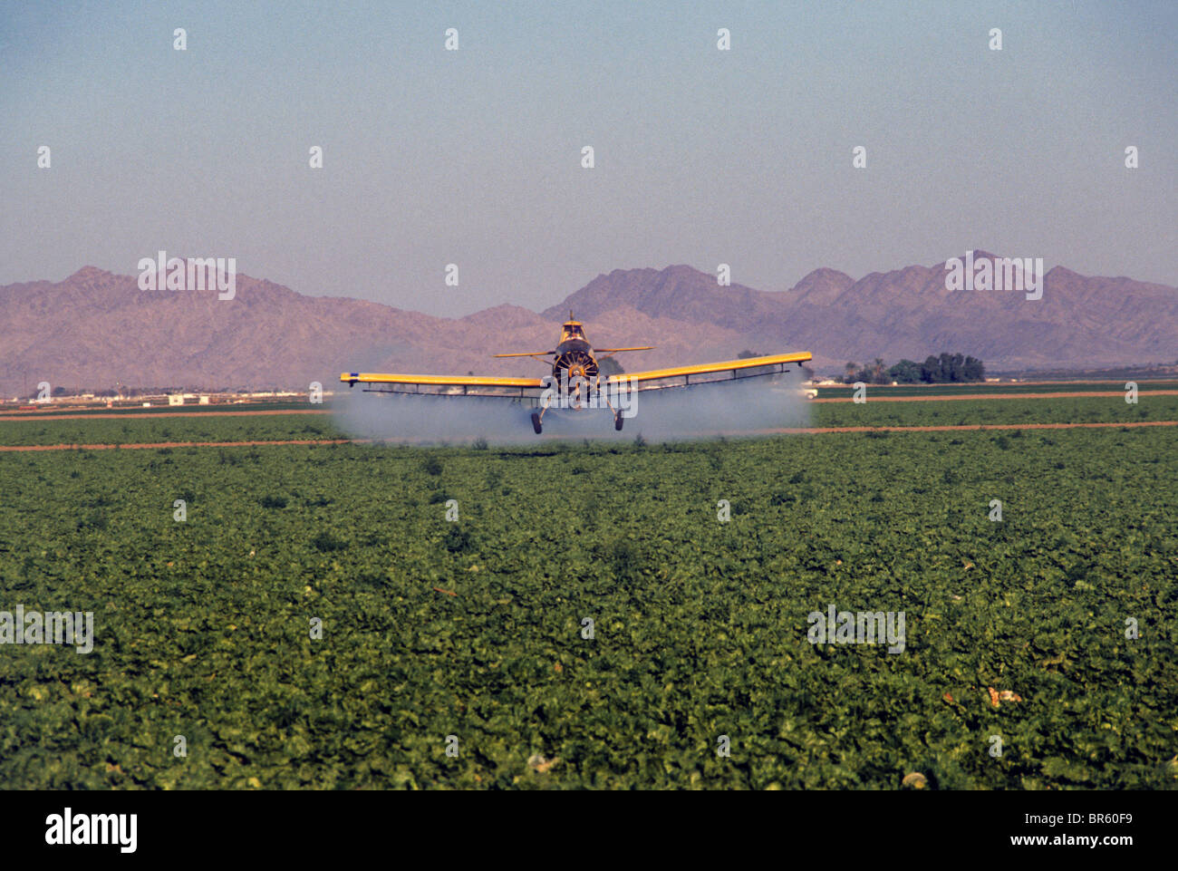 Low flying airplane applies spray chemical treatment to crop near Yuma