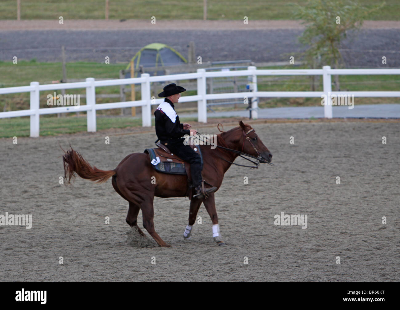 Horse and rider in Western saddlery cantering around an arena Stock