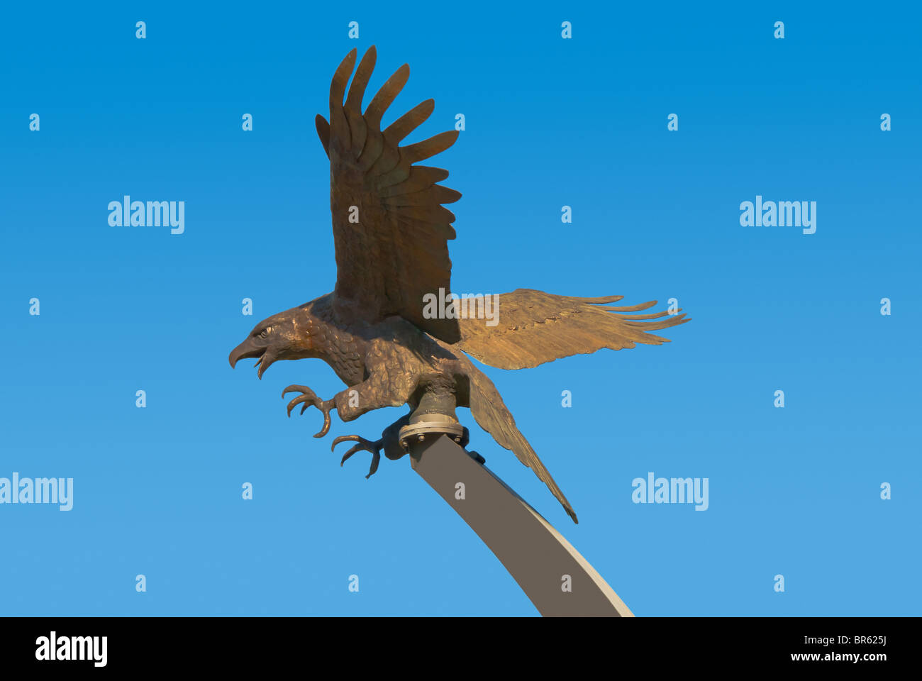 War eagle hi-res stock photography and images - Alamy