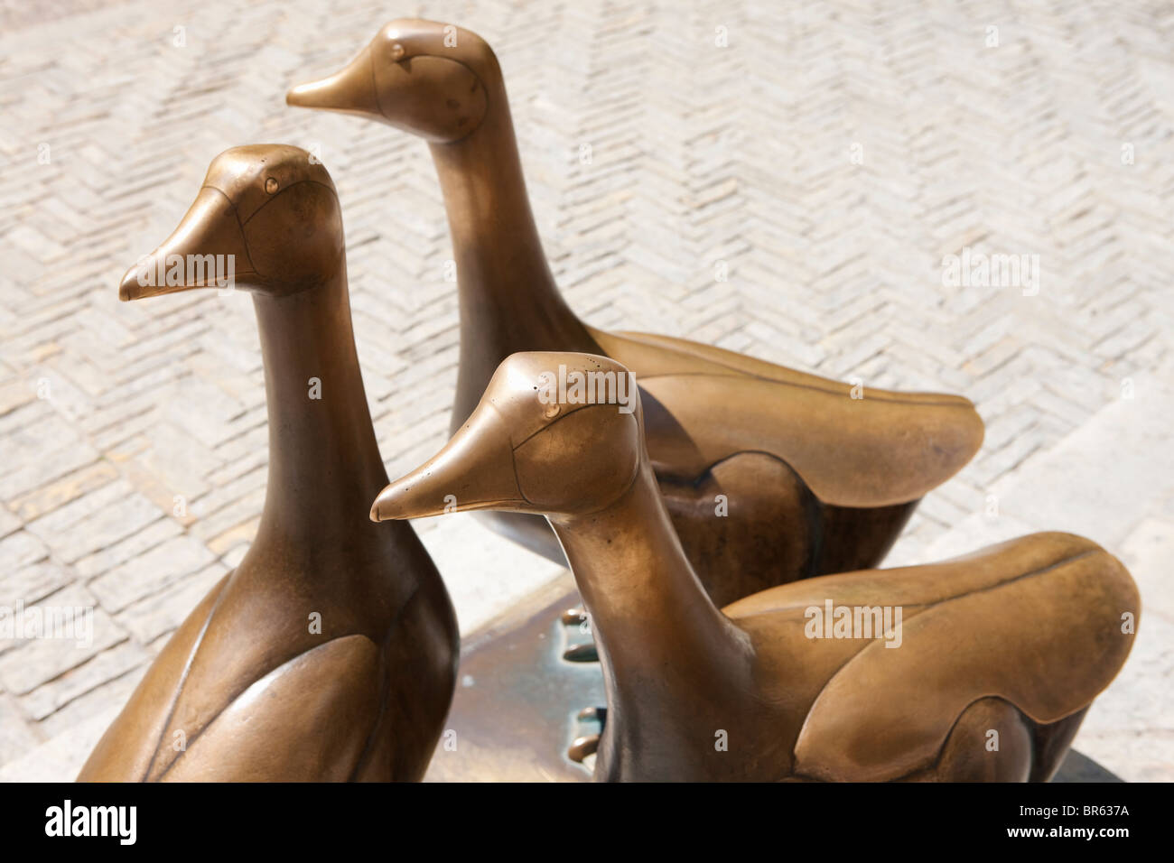 Geese statue, Place aux oies, Sarlat-la-Caneda; Dordogne; France Stock Photo