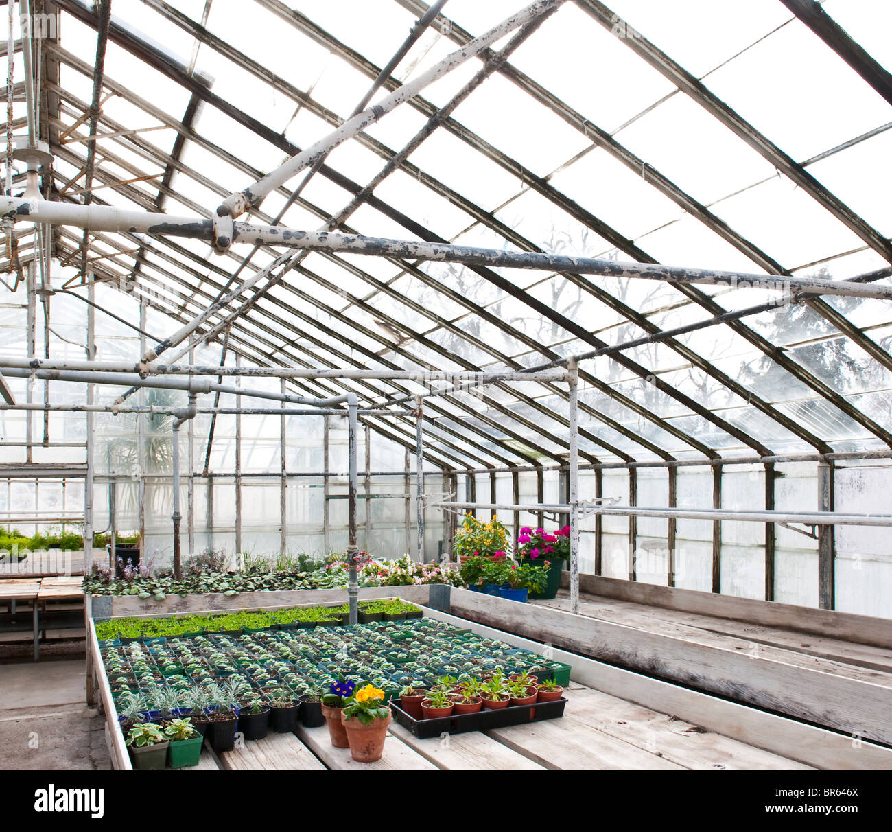 Horticultural Greenhouse High Resolution Stock Photography and Images