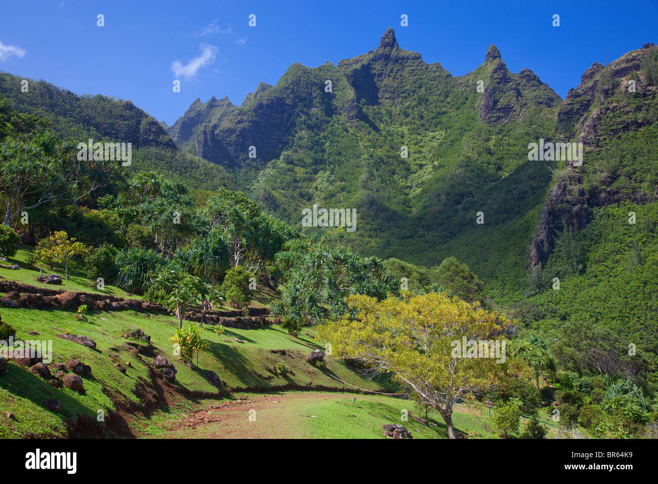 Kauai, HI Makana mountain towers above the Limahuli Garden, National Tropical Botanical Garden