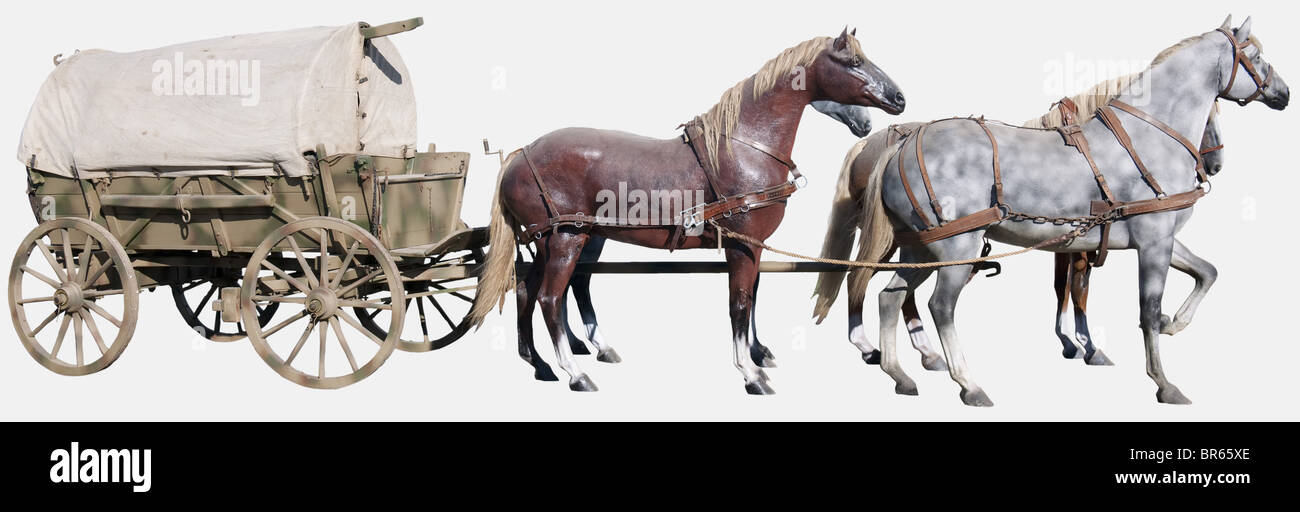 Harnais de cheval en cuir de qualité supérieure - Durable et