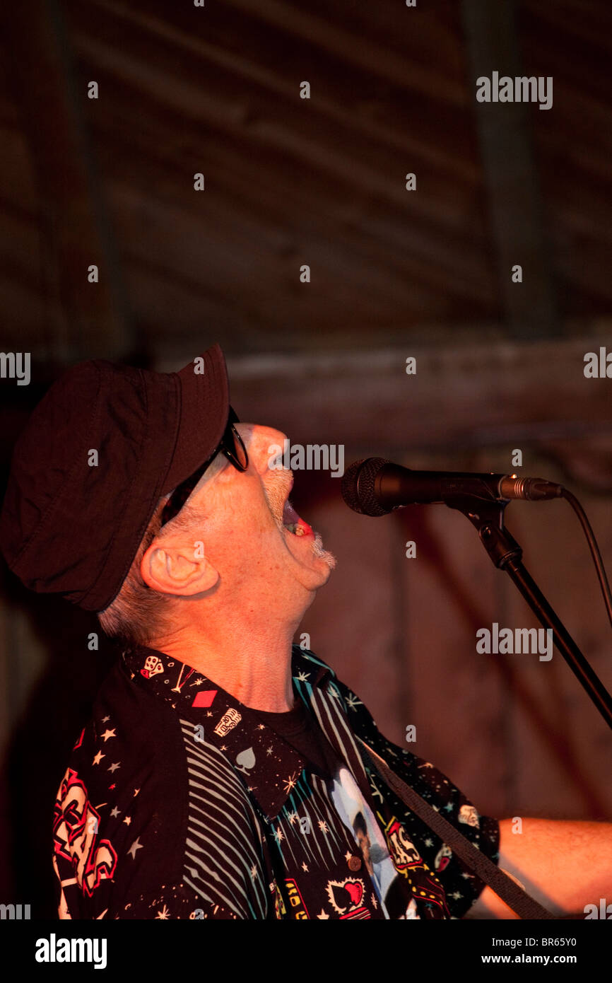 British Country Singer Hank Wangford At The Maverick Festival Stock ...