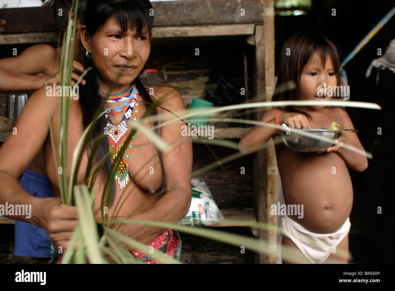 An indigenous Colombian woman weaves a basket from palm leaves in a village  near the town of Nuqui Colombia Stock Photo - Alamy