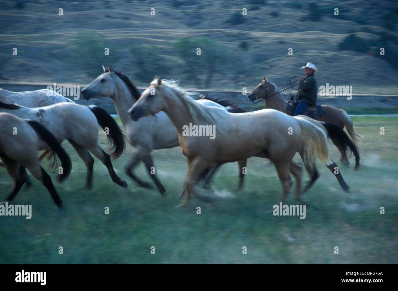 Dakota indians hi-res stock photography and images - Alamy