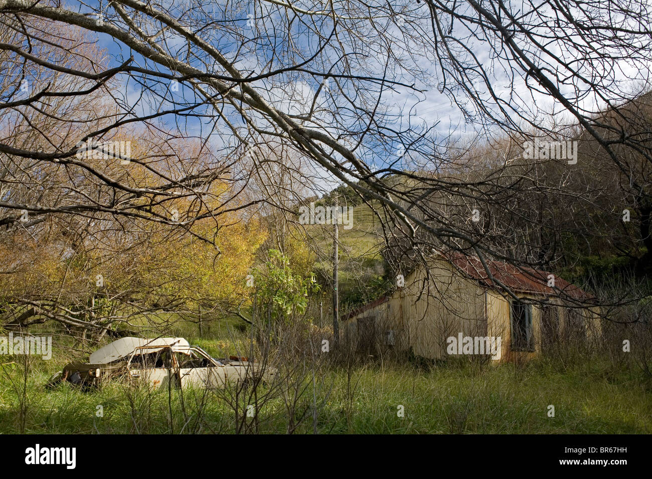 An abandoned car and house in the East Cape town of Tokomaru Bay, New Zealand. Stock Photo