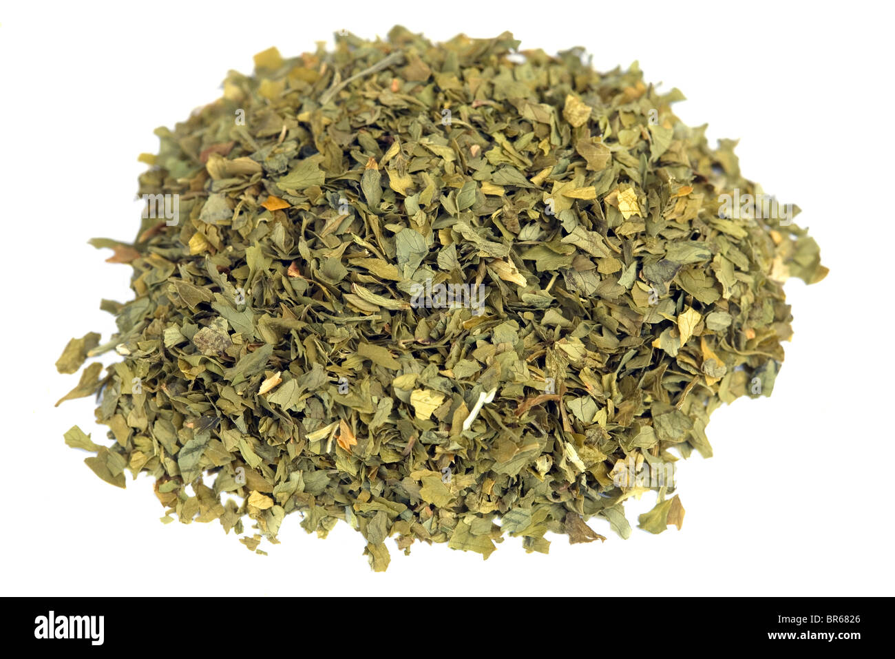 Dried coriander leaf / cilantro Stock Photo Alamy