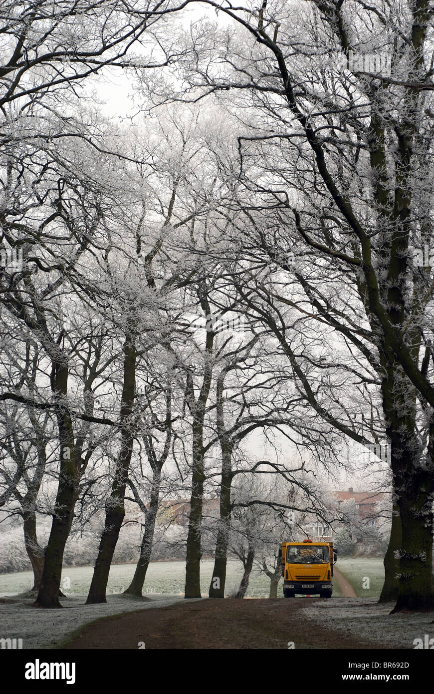 Yellow school bus on wet road hi-res stock photography and images - Alamy