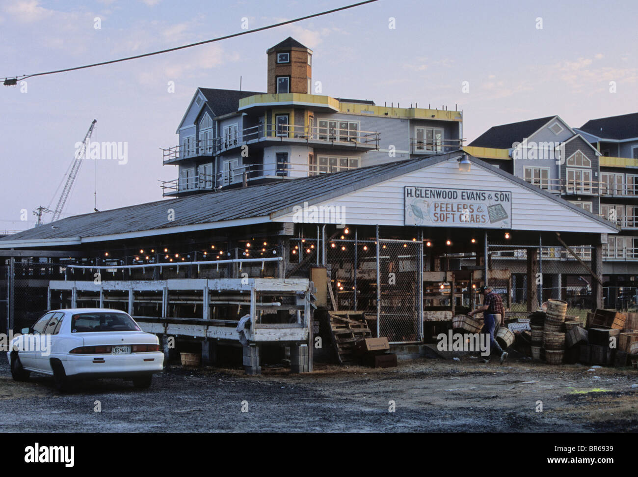 A soft crab processing house in Crisfield MD Stock Photo Alamy