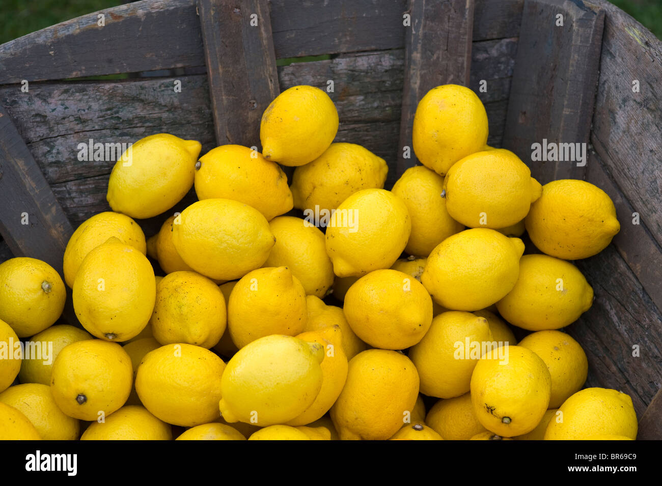 oranges and lemons in a vintage wooden container Stock Photo - Alamy