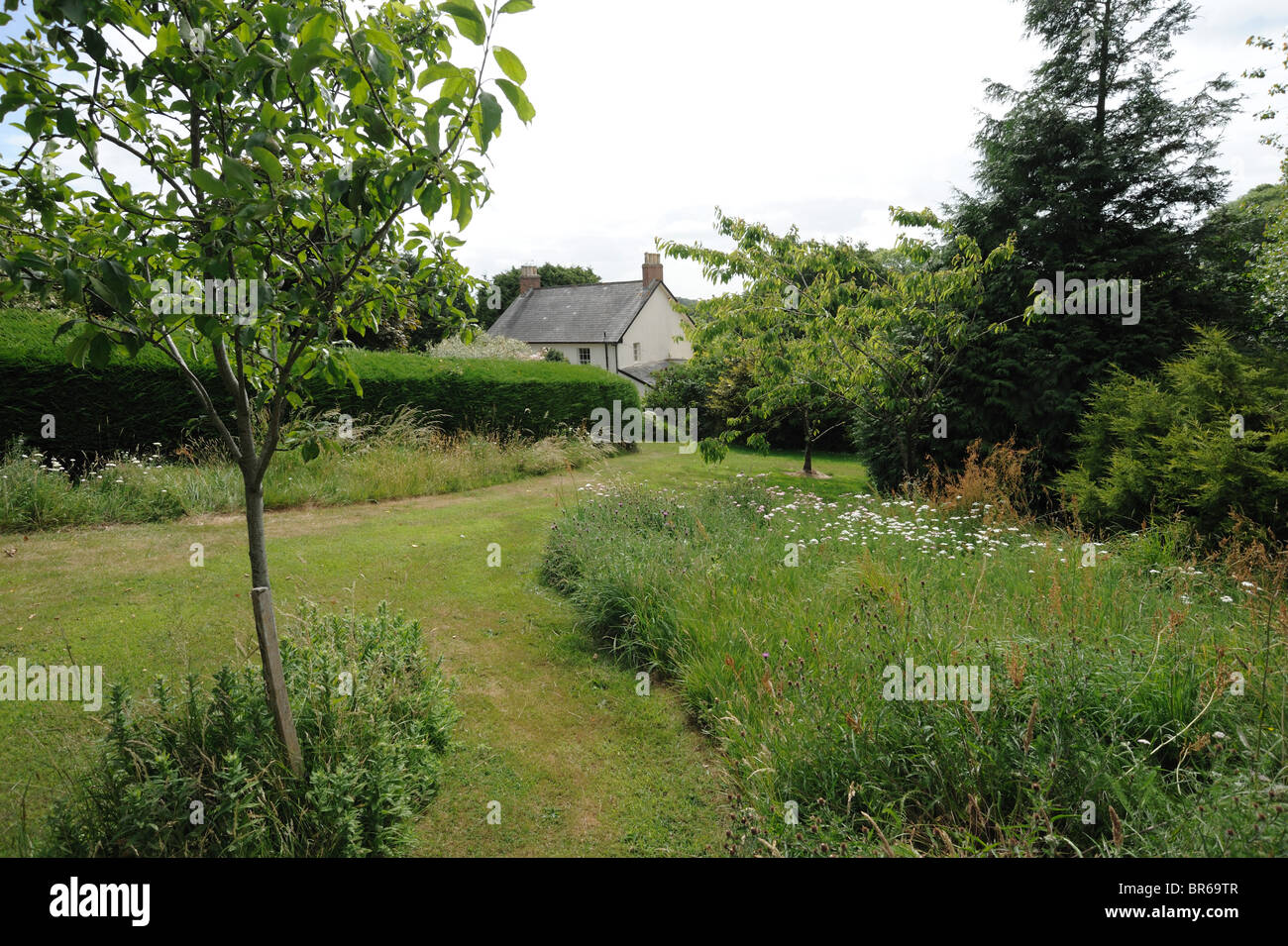Natural environmentally friendly meadow garden with fruit trees and pathways cut for access Stock Photo