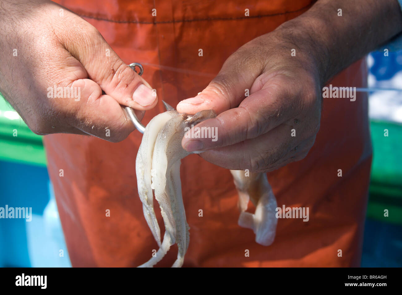 Longline hooks hi-res stock photography and images - Alamy