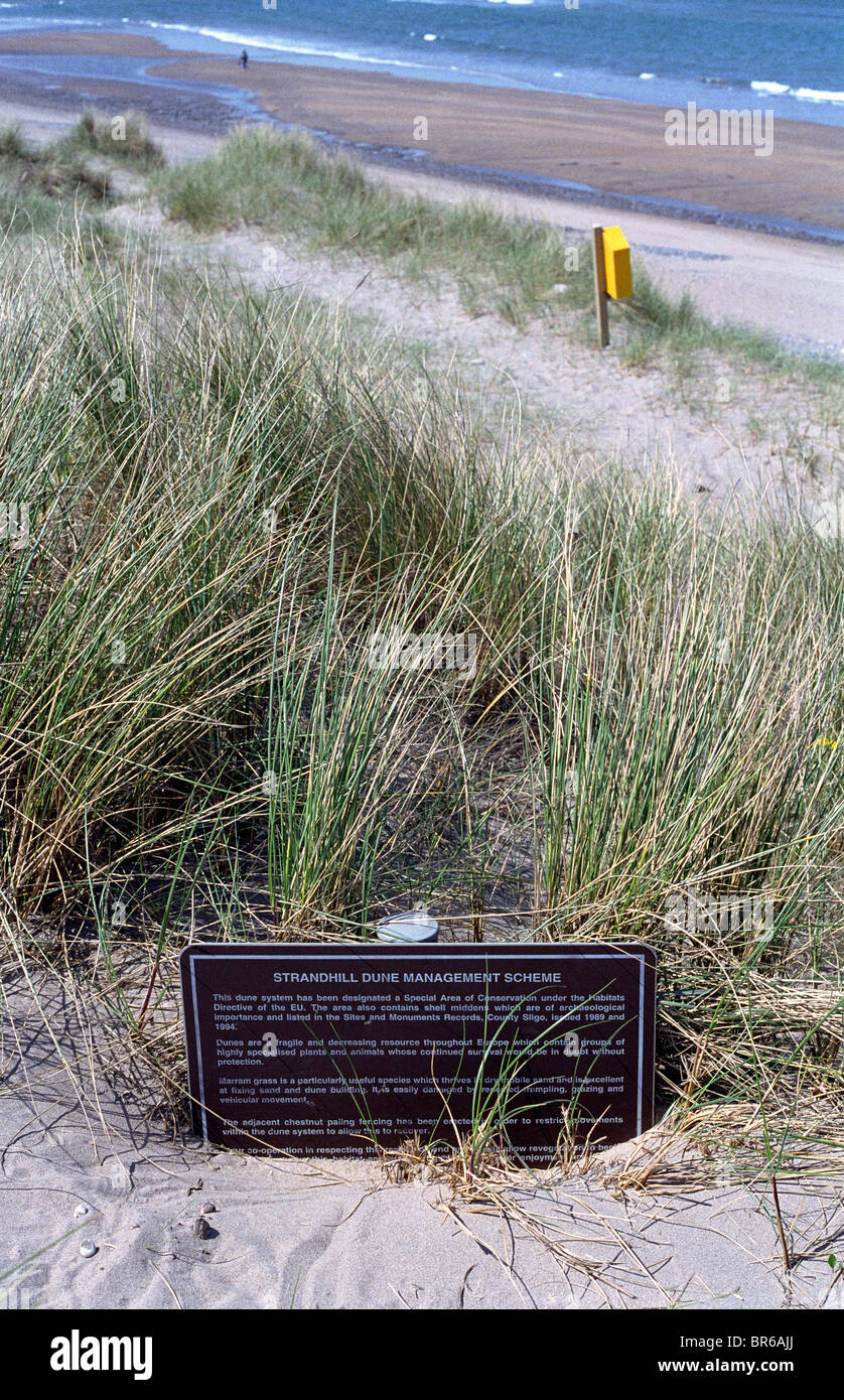 Sign half buried in sand dunes being reconstructed as coastal sea defence system. Stock Photo
