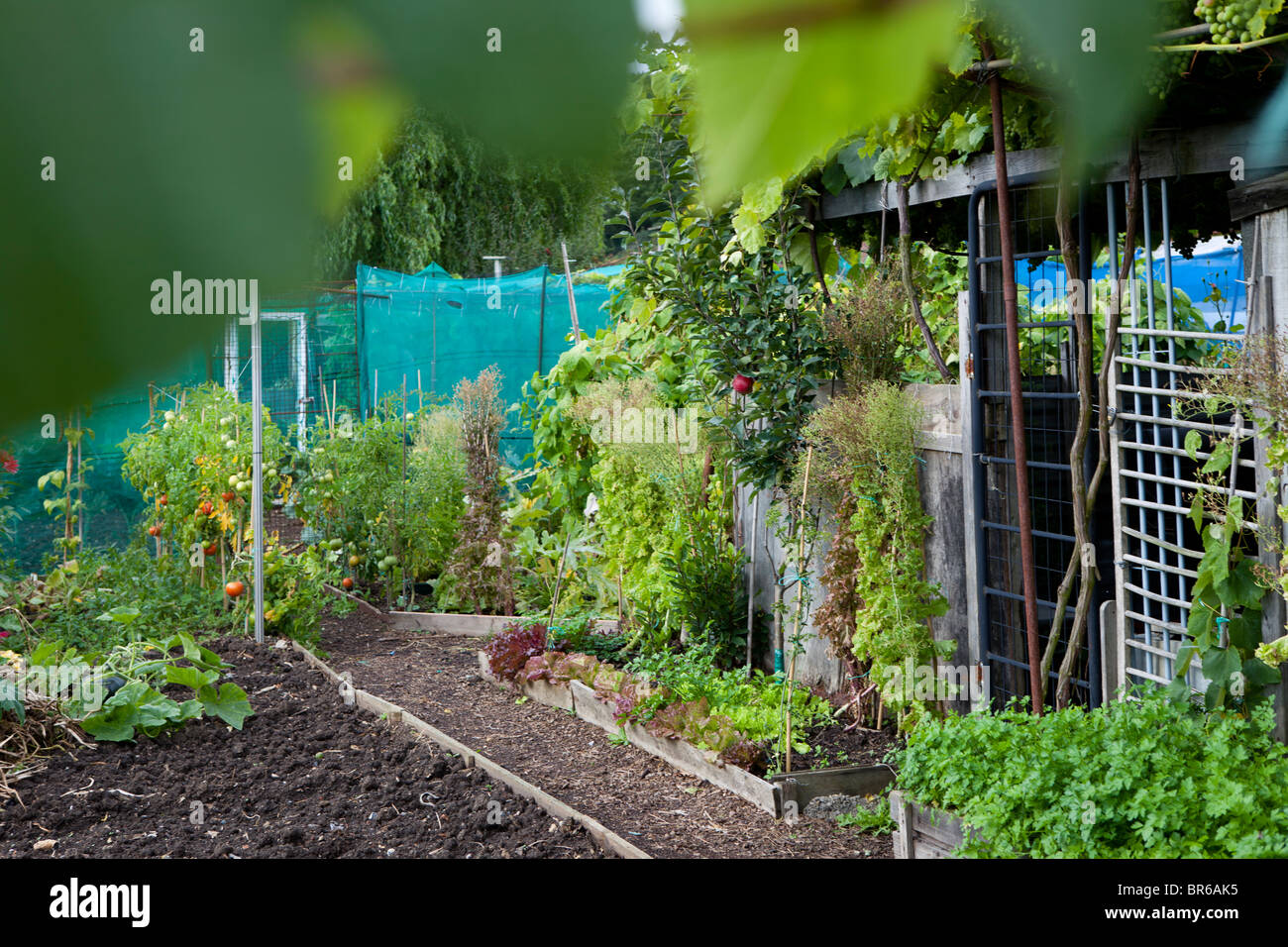 The crystal palace london hi-res stock photography and images - Alamy