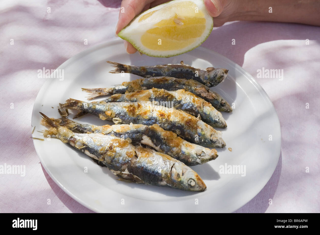 Plate of freshly barbecued sardines. Stock Photo