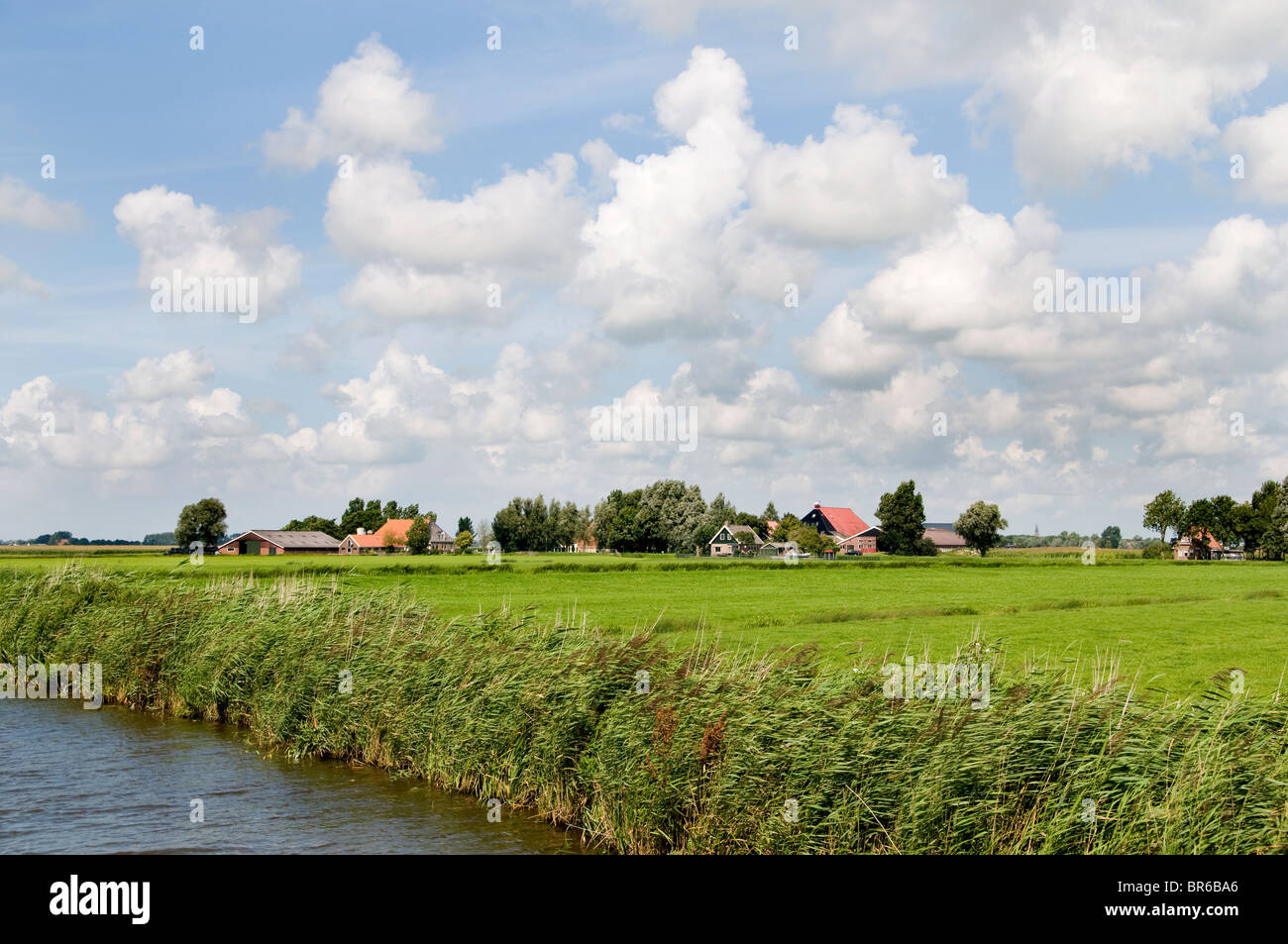 Friesland Netherlands Farm house farming farmer Stock Photo