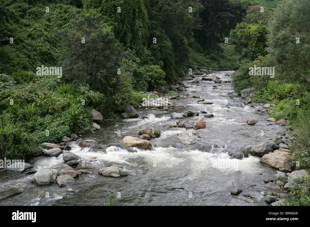 Chiriqui province, Bambito region, Republic of Panama. Stock Photo