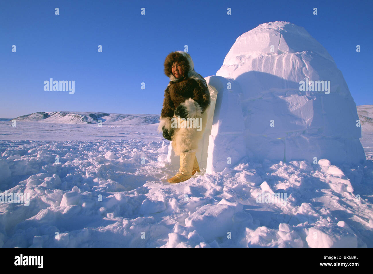 Inuit Igloo High Resolution Stock Photography And Images Alamy