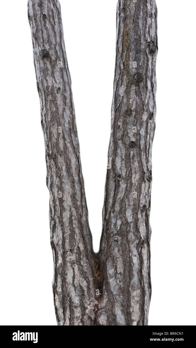 V sign hi-res stock photography and images - Alamy