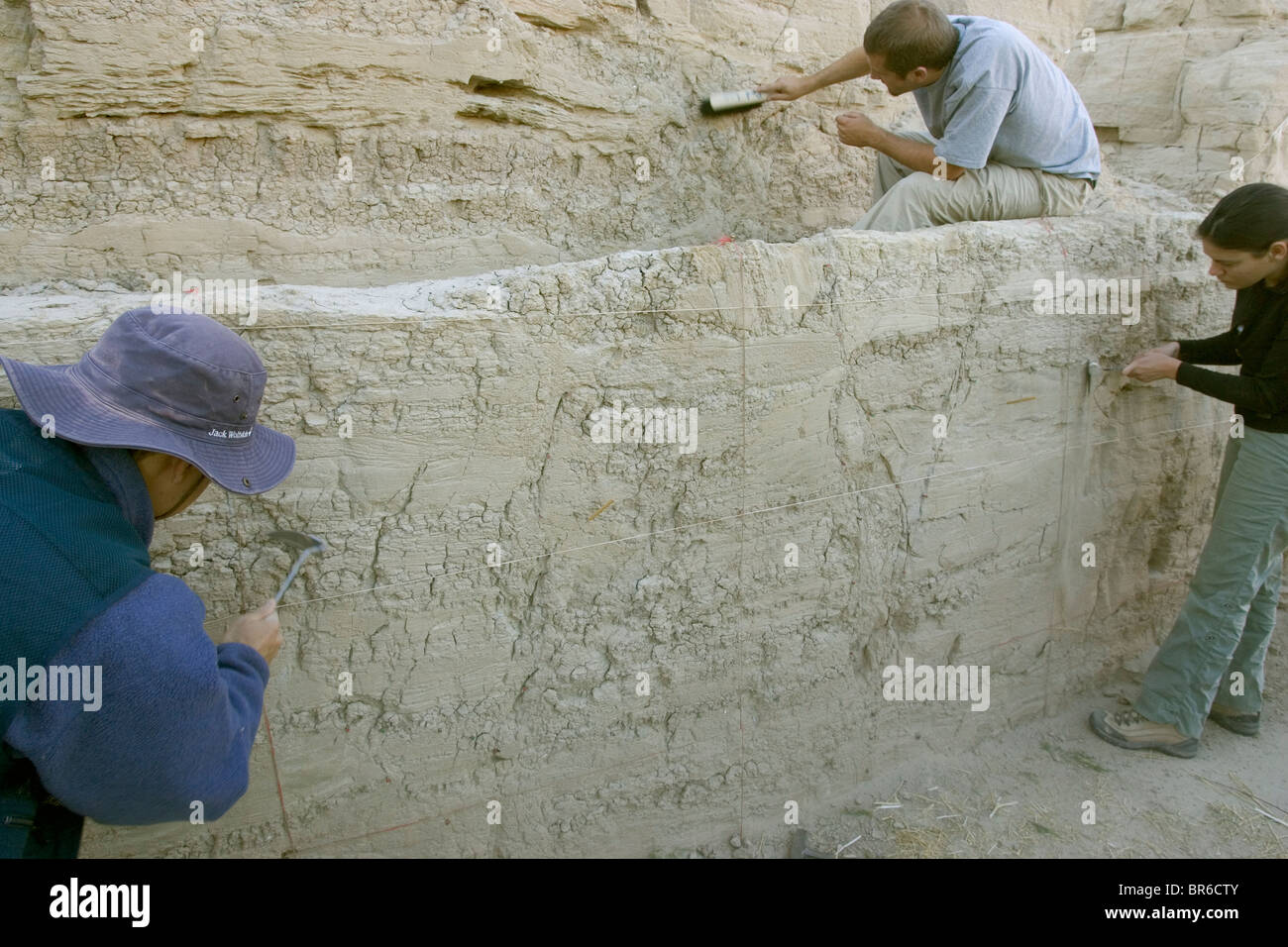 Paleo seismologists. Stock Photo