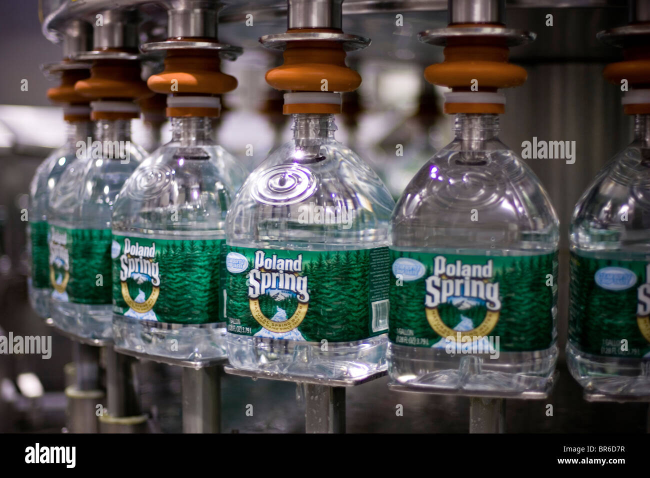 Maine Poland Spring