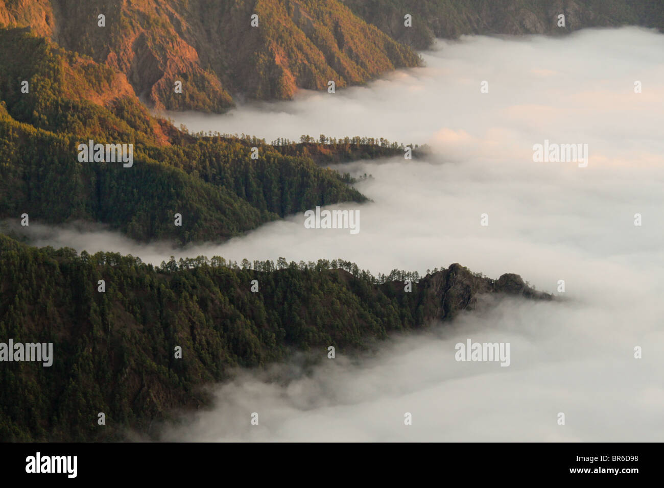 Mountain hillside in the sea of clouds Stock Photo
