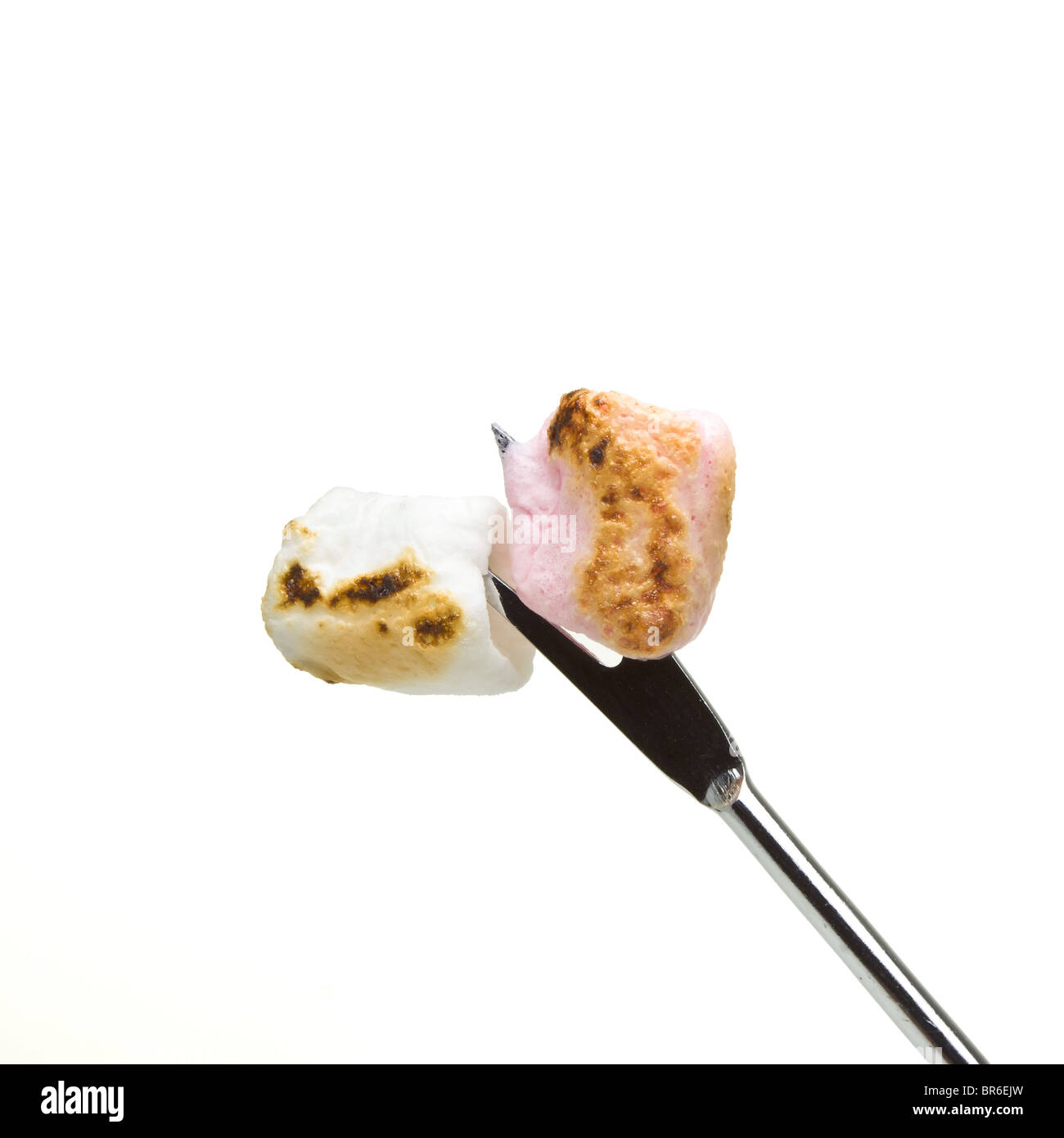 Soft small toasted marshmallows on silver skewer. Stock Photo