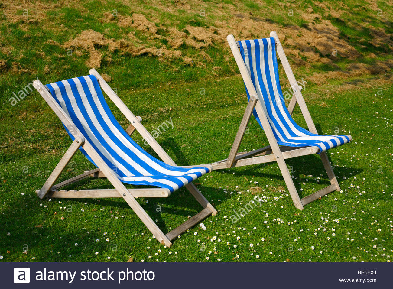Deckchairs on lawn Stock Photo Alamy