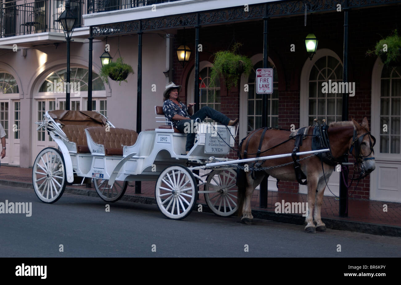 Horse drawn carriage in the French Quarter, Bourbon Street, New Orleans