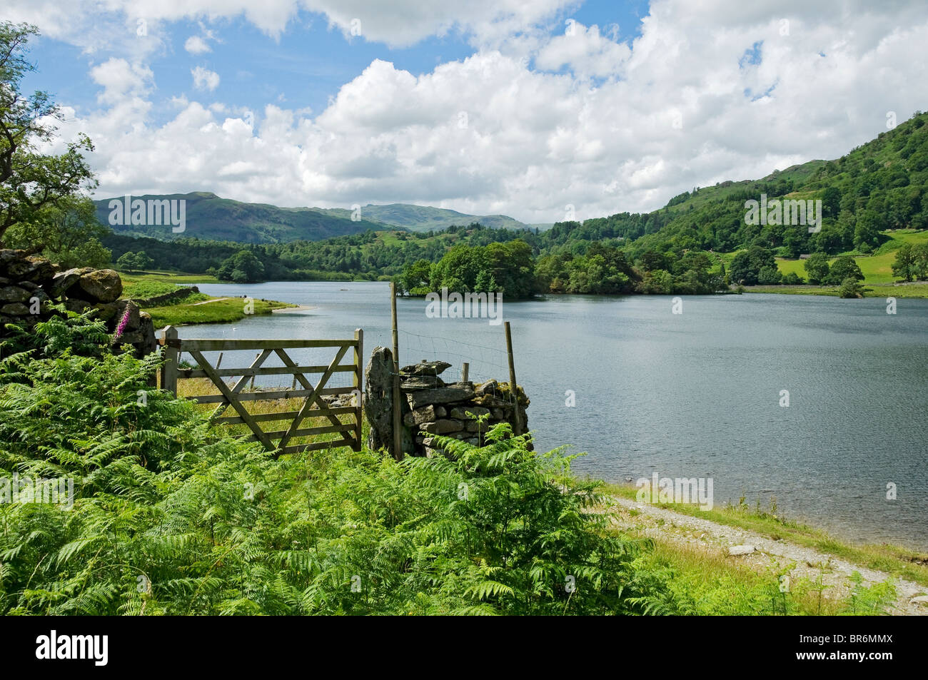 View Across Rydal Water In Summer Near Ambleside Cumbria Lake District view-across-rydal-water-in-summer-near-ambleside-cumbria-lake-district