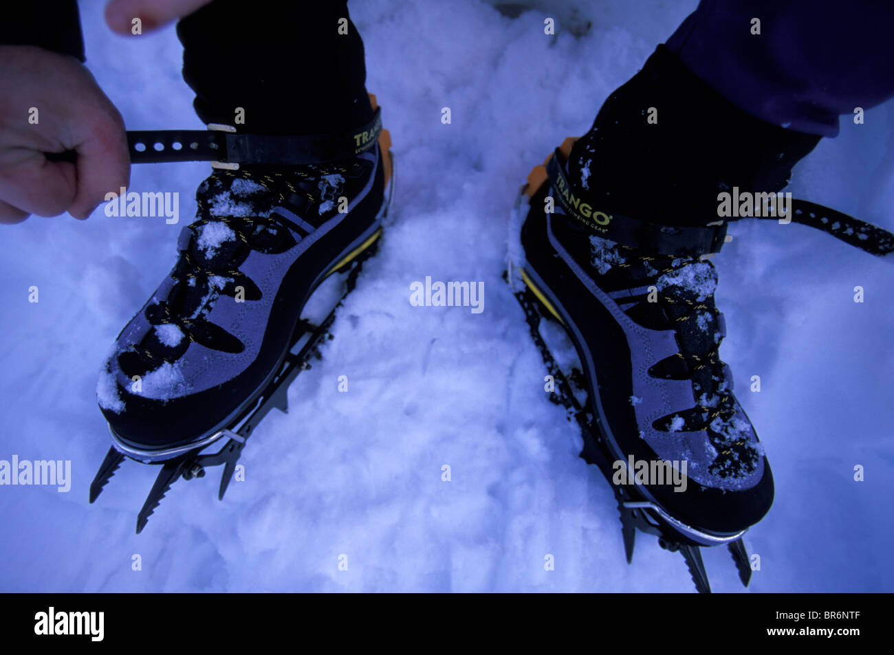 A detail shot of an ice climber putting crampons on his boots in the snow  Stock Photo - Alamy