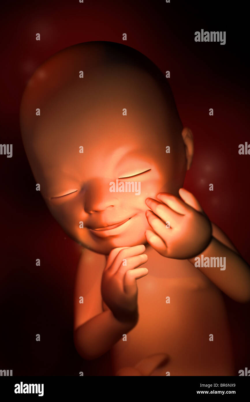 This 3D medical image shows the fetus at week 19. The baby begins to move 'smile'. Stock Photo